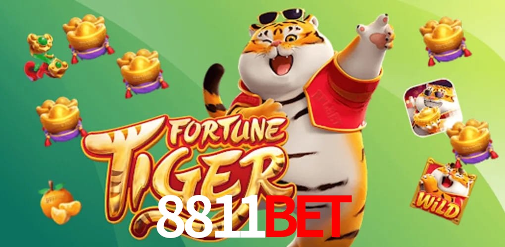 Experiência VIP 8811bet